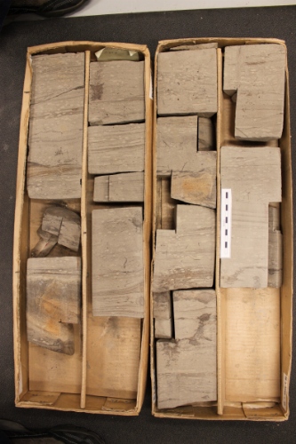 Photo 2019-502 : Photographs of core 1, Snorri J-90. Scale bars are 10 cm in length.