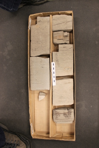 Photo 2019-503: Photographs of core 1, Snorri J-90. Scale bars are 10 cm in length.