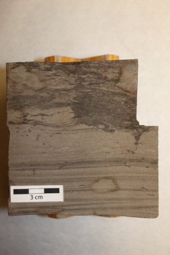 Photo 2019-508: Planar-laminated sandstone with Helminthopsis (He), Planolites (Pl), Macaronichnus (Ma) and Chondrites (Ch).