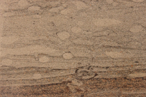 Photo 2019-514: Close-up of Macaronichnus showing mantling by the darker and/or more organic-rich material in the sandstone.