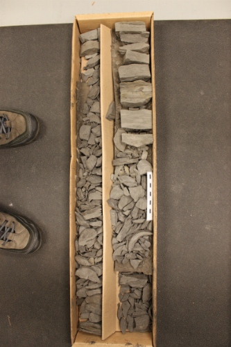 Photo 2019-521: Photographs of core 1, Tyrk P-100. Scale bars are 10 cm in length.