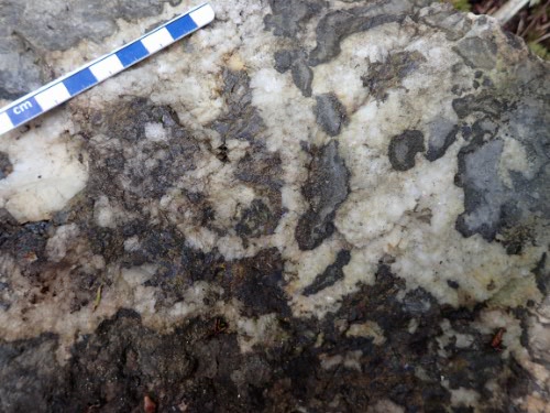 Photo 2020-112 : Hand sample from the Kicking Horse deposit showing a breccia cemented by white sparry dolomite cement