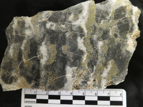Photo 2020-117 : Mineralization from the Munroe deposit: hand sample with zebra-stripe texture created by the alternating, irregular, and discontinuous bands of dark  ...