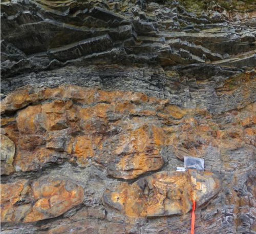 Photo 2020-131 : Stratigraphic succession of Middle Devonian Road River Group - Canol Formation stratigraphic contact; a semi-massive sulfide layer occurs immediately  ...