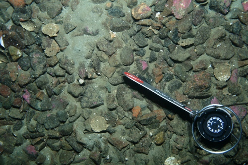 Photo 2020-239 : Seabed expression of gravel lag on inner shelf, Placentia Bay, NFLD