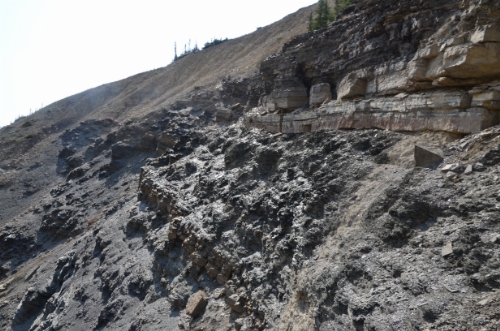 Photo 2020-249: Middle mudstone-dominated Mount Cap Formation; stratal thickness = ~4.5 m