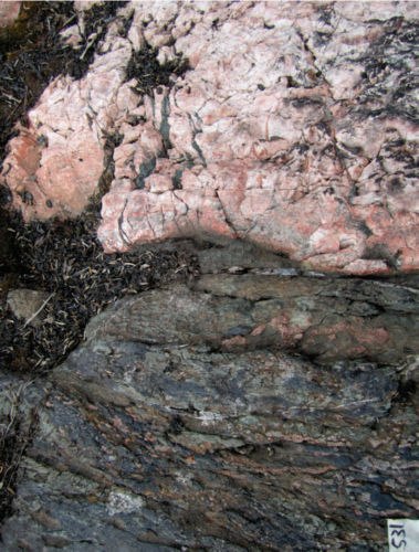 Photo 2020-474 : Intense and selective stratabound albitization and amphibole alteration of a bedded unit, producing massive layers of albitite (white and pink) and  ...