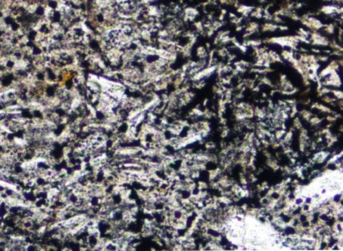 Photo 2020-509 : Photomicrograph of texture-enhancing alteration through selective replacement of porphyritic andesite groundmass by magnetite and preservation of  ...