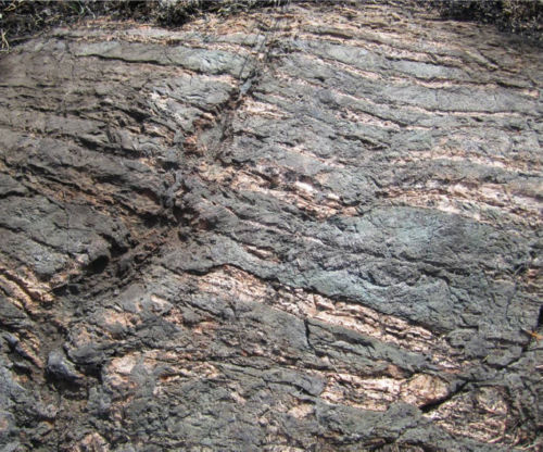 Photo 2020-586 : Stratabound to slightly discordant amphibole-dominant alteration of albitized metasiltstone interlayered with stratabound albitite and cut by a shear  ...