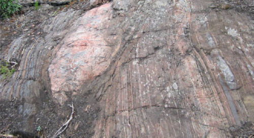 Photo 2020-588 : Stratabound magnetite-altered metasiltstone layers ductilely deformed whereas an albitite layer (pink) is boudinaged, Peanut Lake. The albitite is  ...