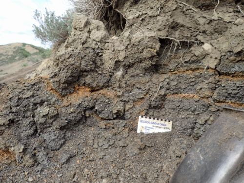 Photo 2020-594 : Glacitectonized raft of dark and iron-stained shale conformably underlying LF4c diamict (sample 18SUV510; section HR 1; 10.5 m depth)