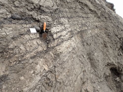 Photo 2020-595 : Prominent bedrock raft of poorly-lithified, laminated fine silt (light) and clay (dark; section HR 1, 46 m depth) - sample 18SUV505 collected at base  ...