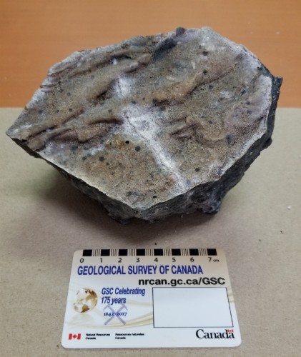 Photo 2020-630: Sample of highly weathered slag. Opposite side of the sample in Figure A-9. The sample surface is a tan coloured rind with a ropy texture and a  ...