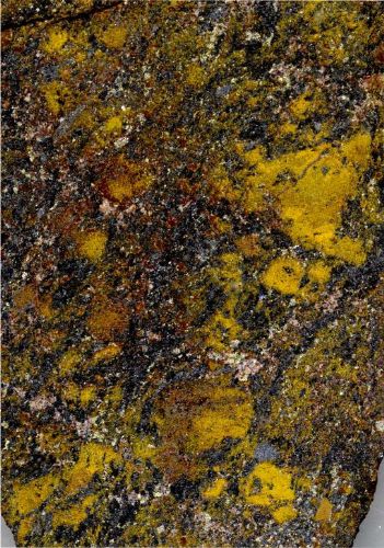 Photo 2020-695: Cobaltinitrite-stained rock slab of iron oxide breccia associated with HT K-Fe alteration sampled in 2009 at the muck pile of the Ernest Henry  ...