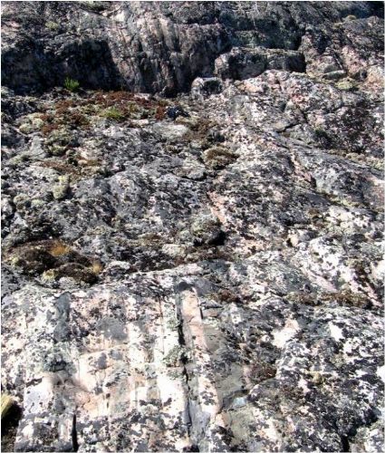 Photo 2020-700 : Stratabound white albitization and albite-clinopyroxene-actinolite alteration of sedimentary rocks west of the McLeod diorite, Port Radium-Echo Bay  ...