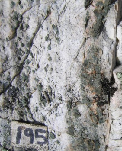 Photo 2020-701: Albitite with clots of actinolite (and minot clinopyroxene) of sedimentary rocks west of and structurally above the McLeod diorite intrusion, Port  ...