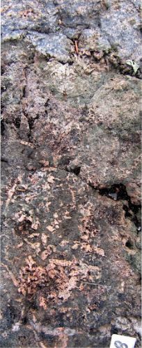 Photo 2020-717 : Moderaly albitized porphyritic andesite replaced by a HT Na-Ca-Fe alteration, southeast arm of Echo Bay, Port Radium-Echo Bay district. The  ...