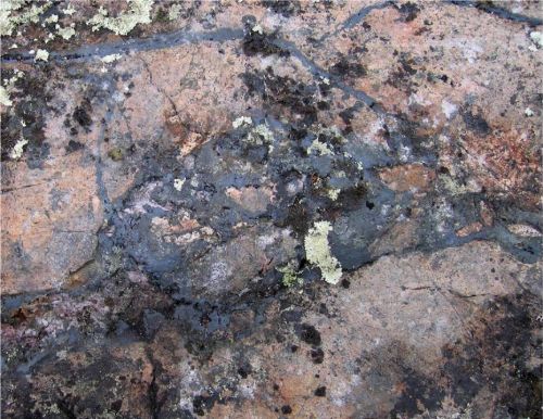 Photo 2020-722: High-temperature Ca-Fe alteration consisting of magnetite-dominant veins with amphibole and apatite transitioning to breccia within albitized  ...