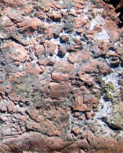 Photo 2020-723: High-temperature Ca-Fe alteration consisting of apatite infill of brecciated albitite, west of Mile Lake.