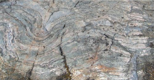 Photo 2020-732: Albitized siltstone replaced by stratabound amphibole to magnetite-dominant alteration at Peanut lake (11PUA-028). Ductile deformation is coeval with  ...