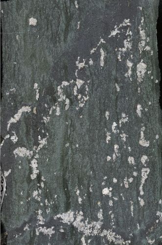 Photo 2020-741 : Stratabound magnetite-amphibole alteration overprinted by fine biotite-rich stratabound stockworks and cut by veins of arsenopyrite-magnetite.  ...