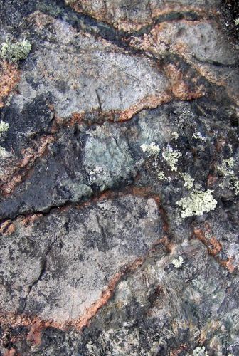 Photo 2020-748 : Amphibole-magnetite vein with an albite halo that evolved to K-feldspar, cutting albitized porphyritic andesite structurally above the McLeod Lake  ...