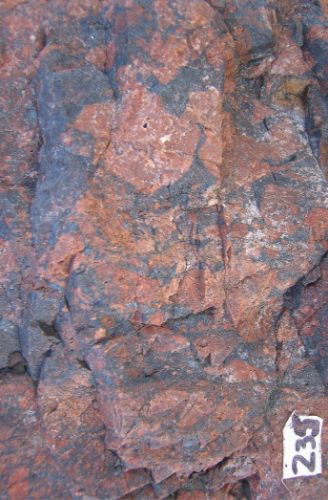 Photo 2020-753: Magnetite breccia with K-feldspar-altered clasts at the Sue Dianne deposit.