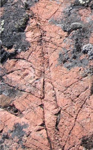Photo 2020-761 : Outcrop of K-felsite breccia due north of Mile Lake replacing albitized porphyritic andesite.