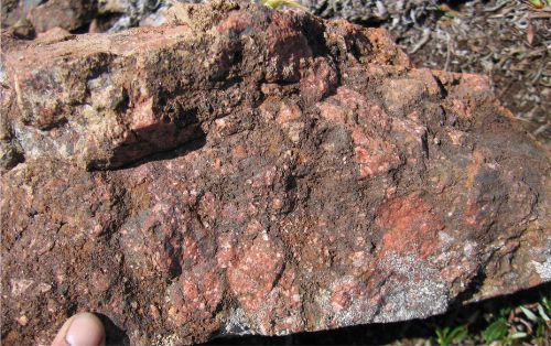 Photo 2020-773 : Breccia with clasts of albitized volcanic rocks and carbonate infill at Breccia Island, Port Radium-Echo Bay district, Great Bear magmatic zone, NT.