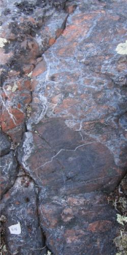 Photo 2020-778 : Hematite breccia within dark, clay altered host, East Hottah system, Hottah Lake.
