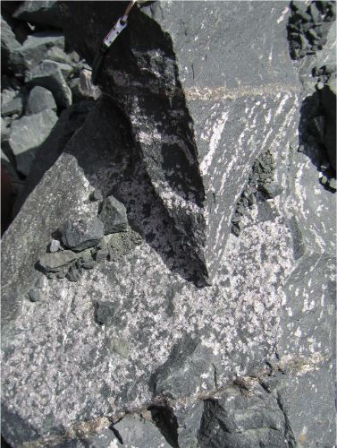 Photo 2020-809: Cobaltinitrite-stained rock slab of stratabound ore of the NICO deposit dominated by cobalt-rich arsenopyrite and magnetite that cut pervasive and  ...