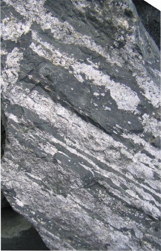 Photo 2020-810: Stratabound ore of the NICO deposit dominated by cobalt-rich arsenopyrite and magnetite that cut pervasive and intense amphibole-magnetite-biotite  ...
