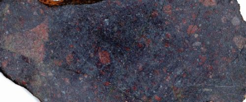 Photo 2020-814: Rock slab of ore breccia with magnetite-rich matrix and K-feldspar altered clasts at the Sue Dianne deposit. Clasts are progressively replaced by the  ...
