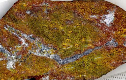 Photo 2020-818: Cobaltinitrite-stained rock slab of magnetite-calcite vein with disseminated earthy hematite cutting across biotite-magnetite-K-feldspar alteration  ...