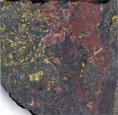 Photo 2020-819: Polished slab of early skarn replaced by K-skarn with K-feldspar stable with clinopyroxene and garnet among which sulphides (pyrite, chalcopyrite,  ...