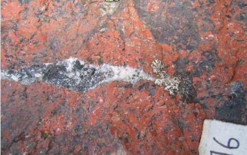Photo 2020-821: Intense K-feldspar alteration brecciated, infilled with magnetite and cut by mineralized quartz-hematite veins, Birchtree showing, Contact Lake belt,  ...