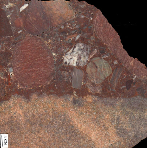 Photo 2020-887 : 5D. Locally derived nature of the polymict basal Thelon Formation conglomerate, with rounded clasts of red hematitized Neoarchean Pipedream  ...