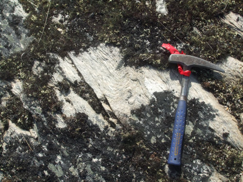 Photo 2020-888 : 5J. Dispersed quartz pebbles to cobbles (q) in pale greenish tan coloured coarse quartzite, basal sequence in the Amarulik assemblage (northern A1,  ...