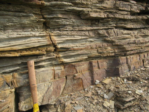 Photo 2020-917 : Figure 9: Outcrop photographs of Mount Clark Formation. All photographs taken at section 12MWBs05.  (C) Thin bedded quartz arenite and silty  ...