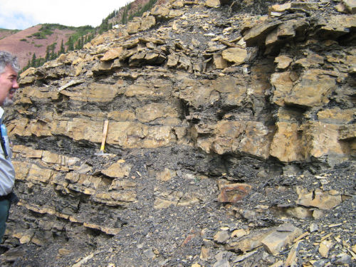 Photo 2020-918 : Figure 10: Outcrop photographs of Mount Cap Formation. In both photographs, hammer handle is 30 cm long.  (A) Contact (arrow) between sandstone at  ...