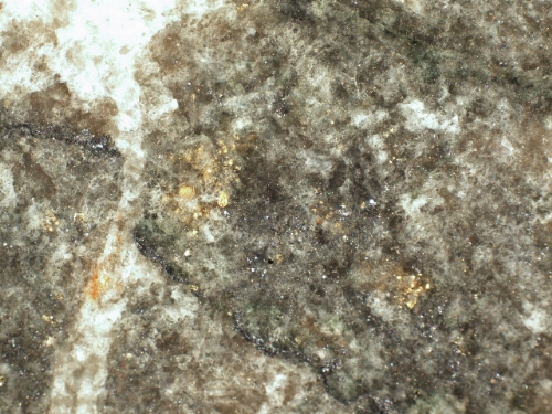 Photo 2021-026: Finely disseminated molybdenite and native gold in the quartz-carbonate vein