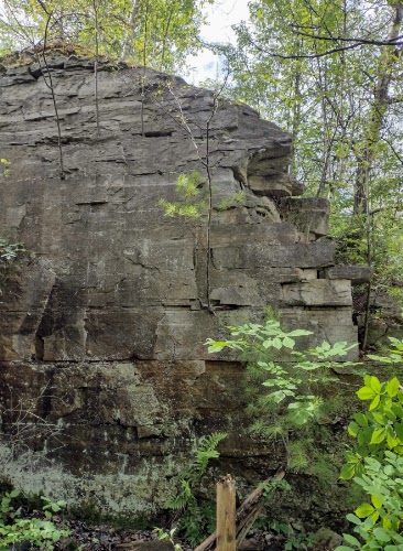Photo 2021-134: quarry walls near the test holes provide opportunities to examine shallow bedrock in section