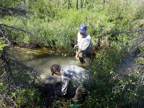 Photo 2021-236 : GSC's Stephen Day and Rod Smith collecting stream sediment sample 085G-2018-1003 from a small unnamed stream, west of Great Slave Lake, NWT