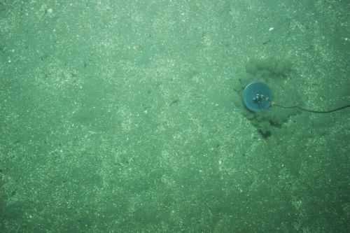 Photo 2021-269 : seabed photo series, Station 2021126-0001; see also GSC Expedition database for descriptions