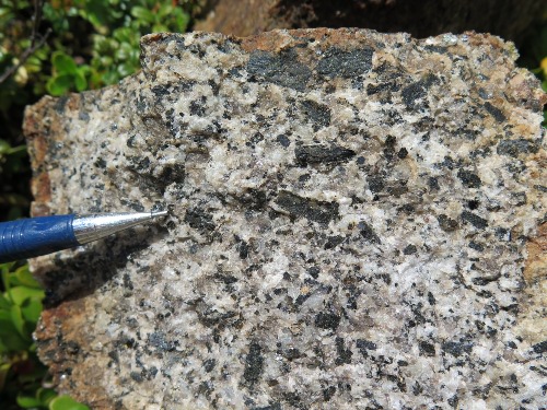 Photo 2021-531 : Whitehorse Suite (Dawson Range phase); hornblende porphyritic, homogeneous massive granodiorite