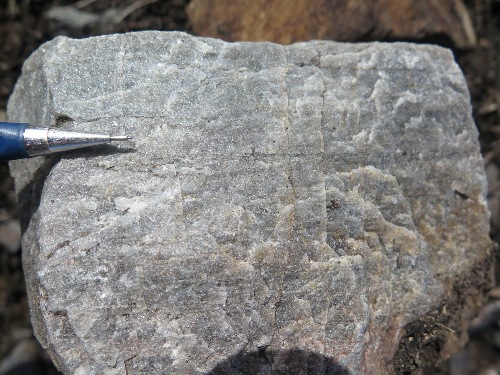 Photo 2021-533 : Stevenson Ridge Schist; metaquartzite, siliciclastic, granoblastic, sheared orthoquartzite beds in some quartz-feldspathic beds