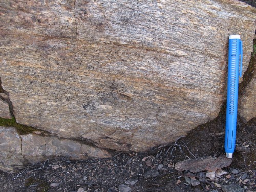 Photo 2021-538 : Simpson Range Suite; strongly lineated and foliated to gneissic, quartz and plagioclase augen granodiorite