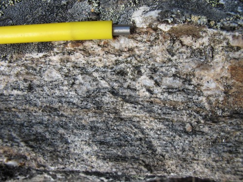 Photo 2021-540 : Simpson Range Suite; felsic orthogneiss, foliated, muscovite and biotite bearing