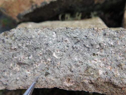 Photo 2021-542 : Rhyolite Creek Suite; smoky quartz-biotite porphyritic rhyolite, with minor acicular hornblende