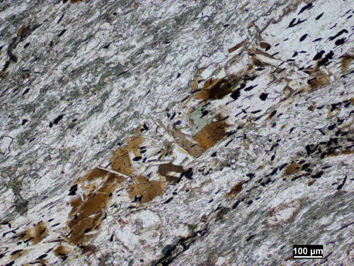 Photo 2021-692: Photomicrograph (plane-polarized transmitted light) of a syndeformation feldspar porphyroblast elongated parallel to the main foliation (S2) locally  ...